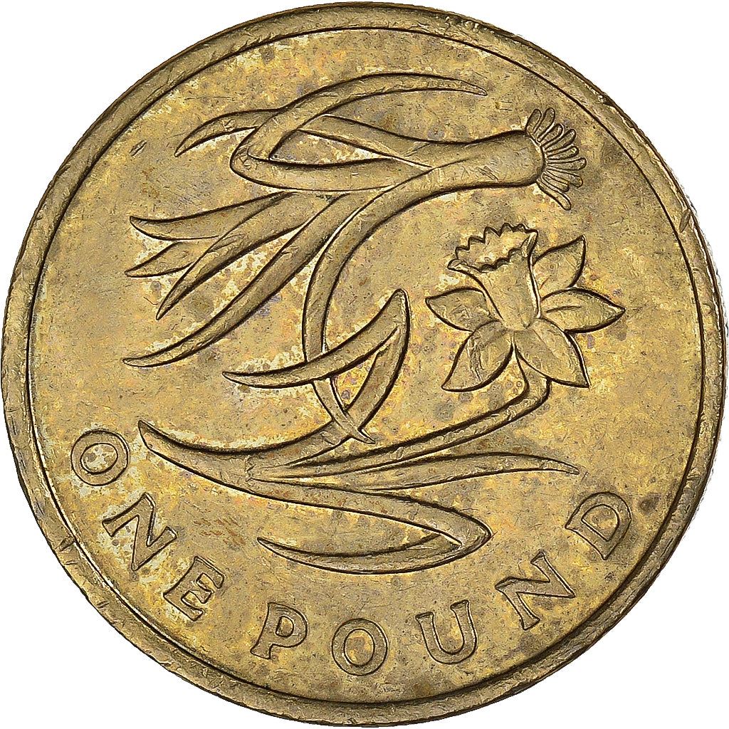 United Kingdom | 1 Pound Coin | Elizabeth II | 4th portrait | Leek & Daffodil | 2013
