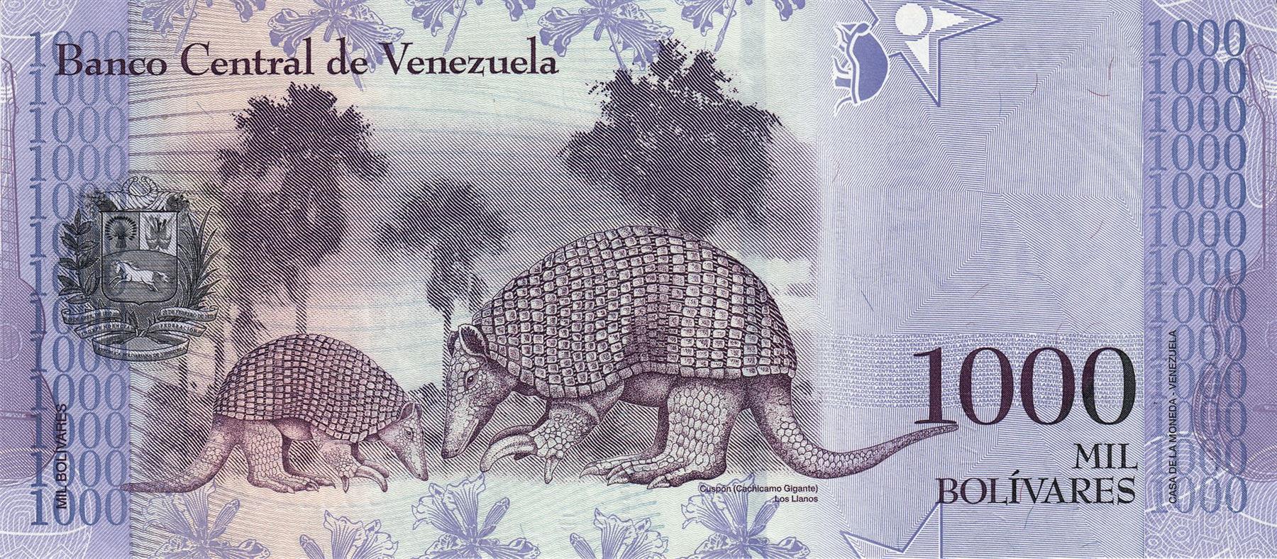 Venezuela | 1000 Bolivares Banknote | 2016 - 2017 | Pedro Camejo | Giant Armadillos