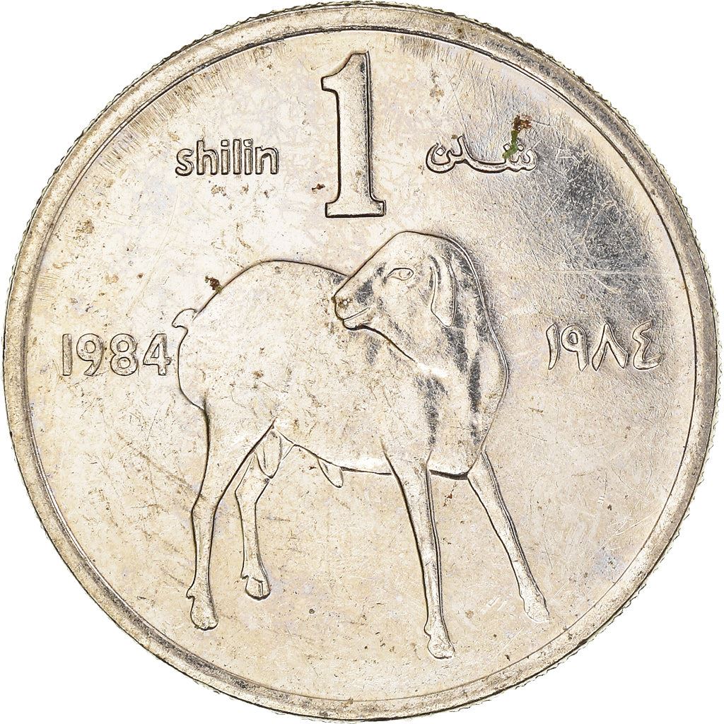 Somalia | 1 Shilling Coin | Lamb | FAO | Km:27A | 1984