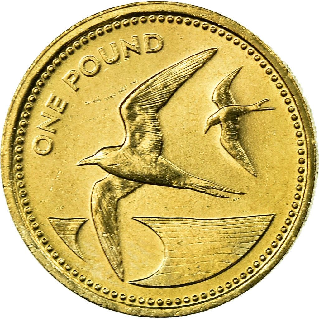 סנט הלנה ואסנשן | מטבע של 1 פאונד | אליזבת השנייה | ציפור טרן סוטי | Km:6 | 1984