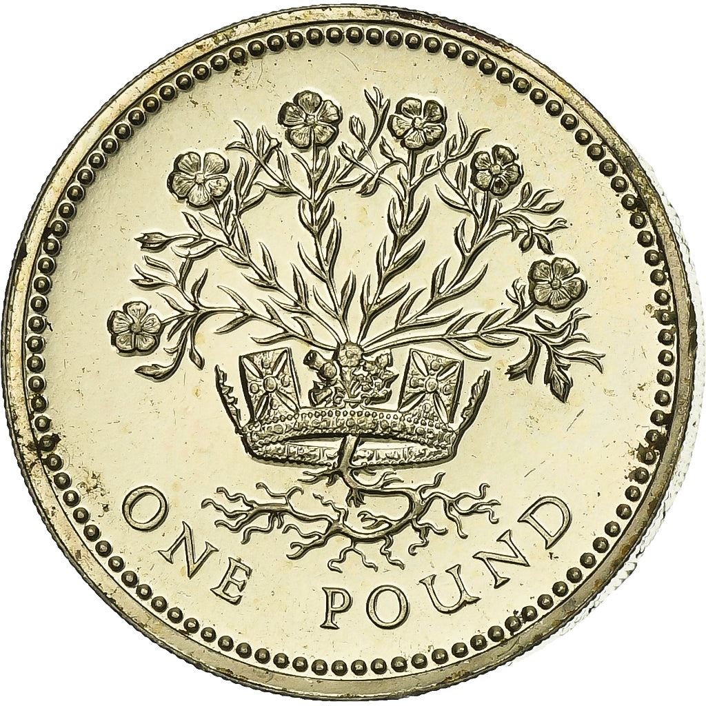 United Kingdom | 1 Pound Coin | Irish Flax | Km:946 | 1986 - 1991