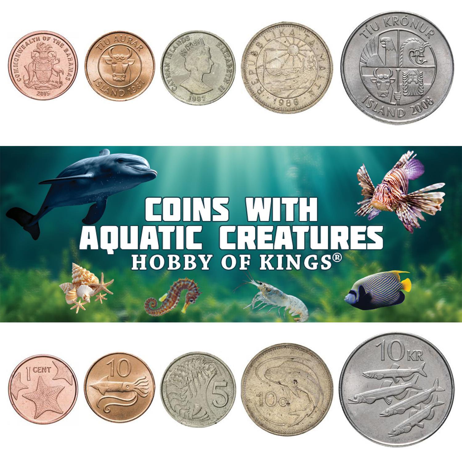 Different Coins With Different Aquatic Creatures | Fish, Dolphins, Squids, Crabs, Shrimps, Starfish and More