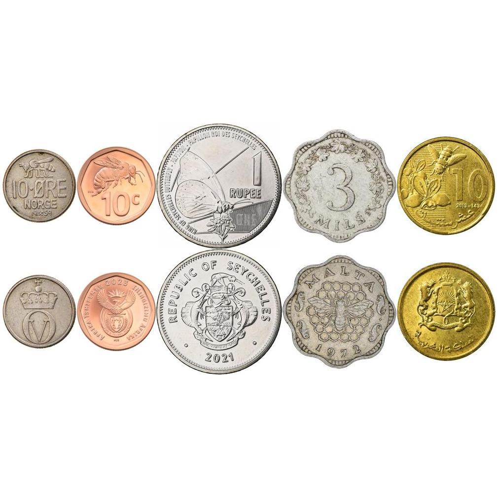 Coins With Different Insects | Bees, Wasps, Caterpillars, Snails And Butterflies