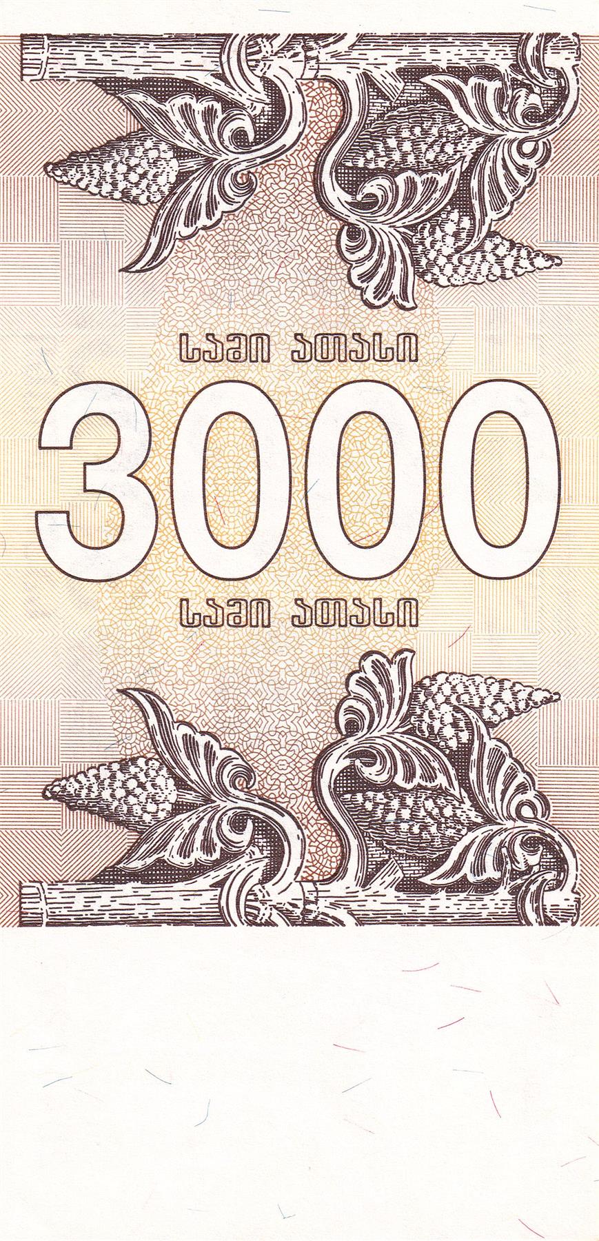 Georgia | 3000 Kuponi Banknote | 1993 | Griffins | Grape Bunches
