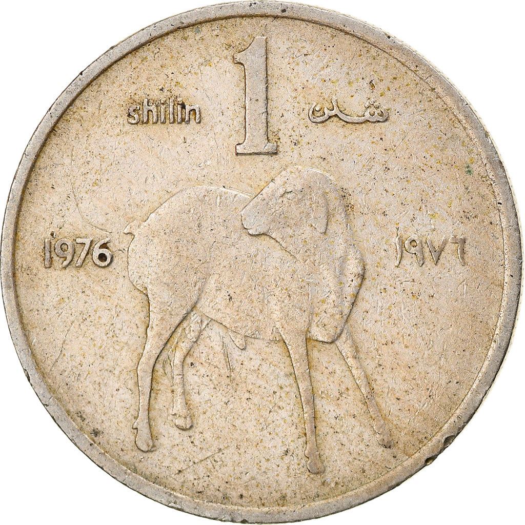 Somalia | 1 Shilling Coin | FAO | Lamb | Km:27 | 1976