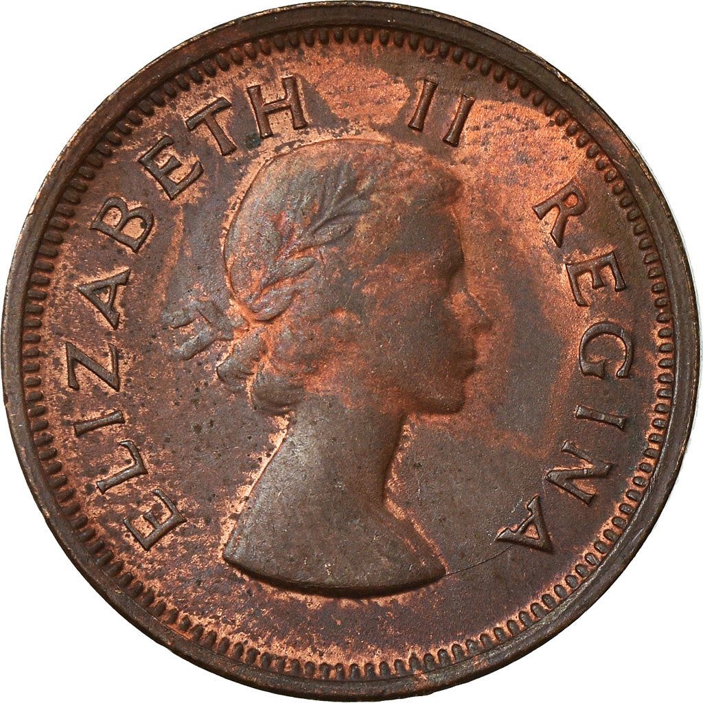 South Africa 1/4 Penny Coin | Elizabeth II 1st portrait | KM44 | 1953 - 1960