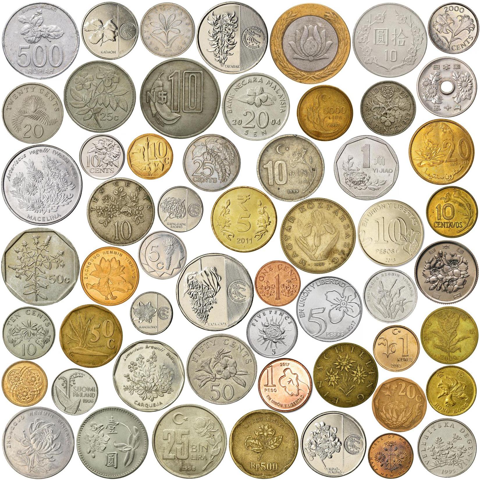Different Coins with Flowers | Jasmine, Rose, Orchids, Tulips, Peonies, Lotus, Cherry Blossoms And More