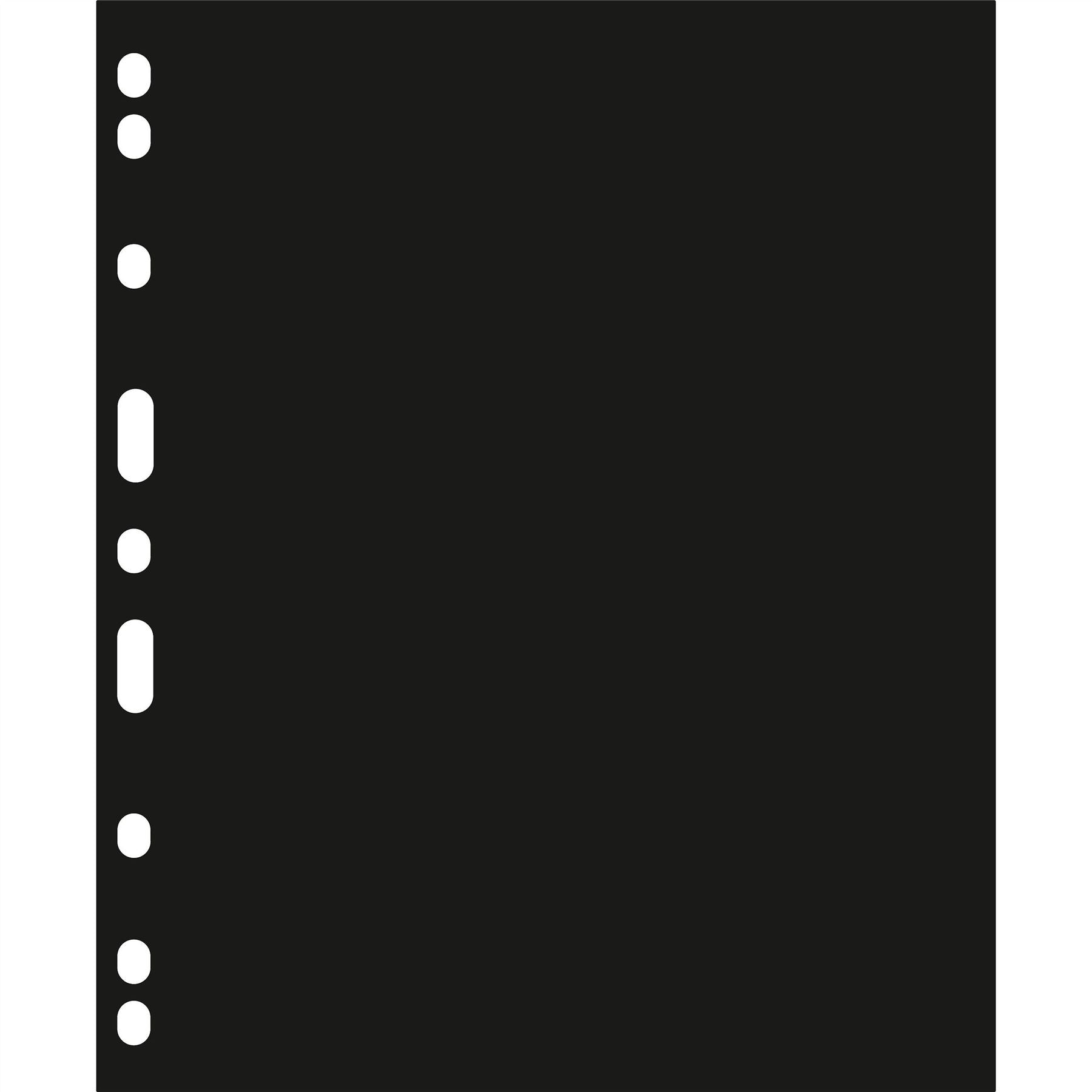 ENCAP Sheets for Ring Binder Coin Albums | Coin Capsule Storage Sheets | Packs of 2 | Different Pocket Configurations