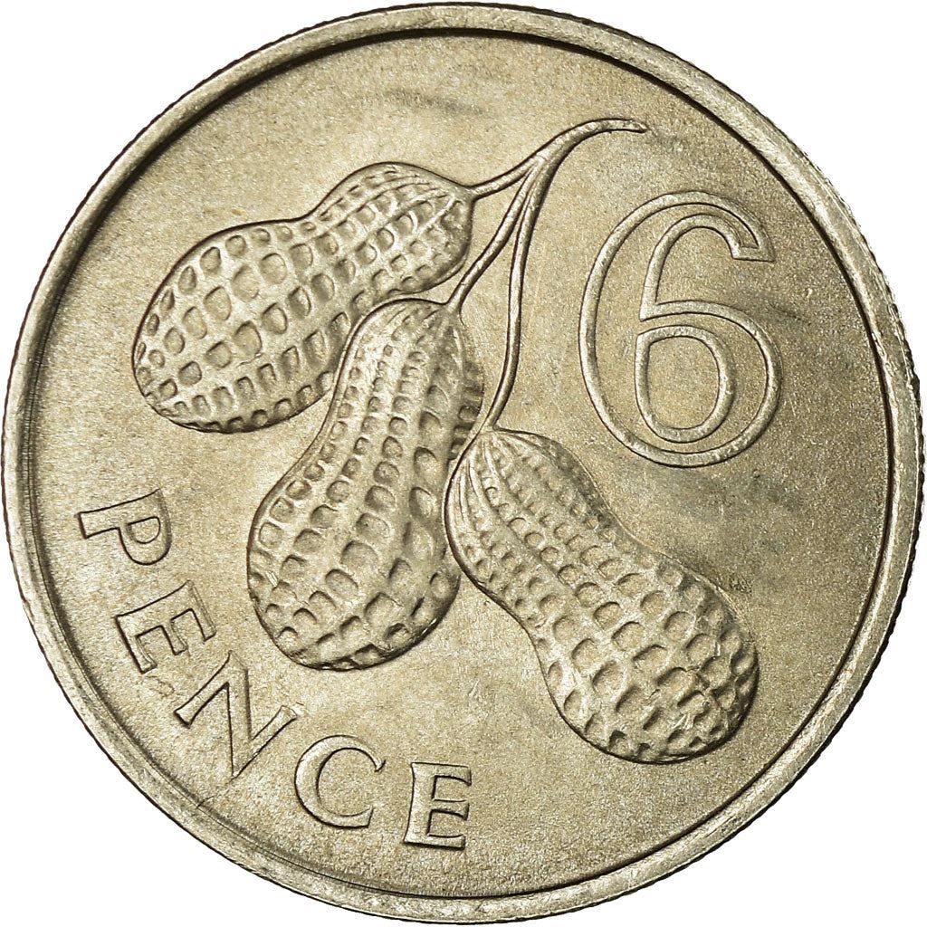 The Gambia | 6 Pence Coin | Peanuts | Km:3 | 1966