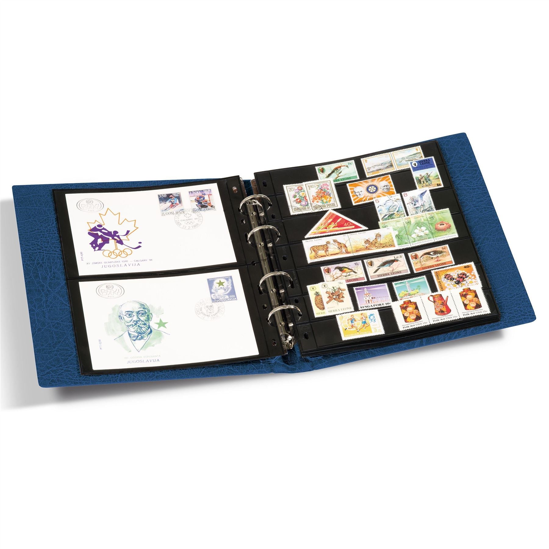OPTIMA F Ring Binder | Coin and Banknote Album | Slipcase Optional | Up to 50 Sheet Capacity | 5 Color Options